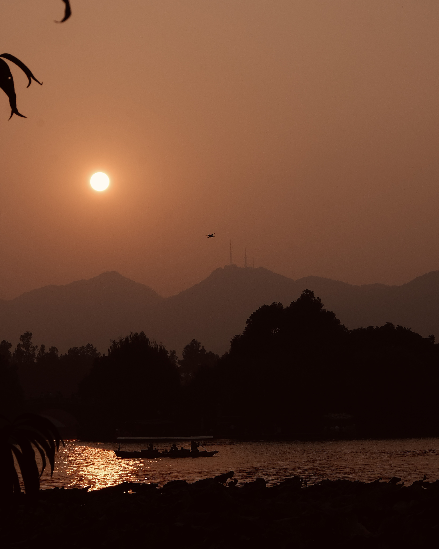 The Setting Sun's Snugness